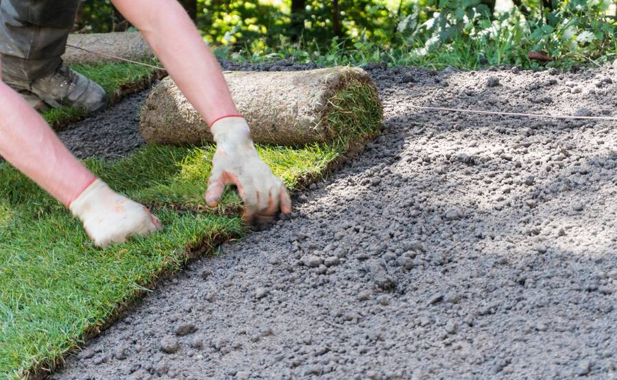 Sod Installation by Associates Landscape & Design