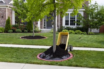 Mulching in Brighton Services